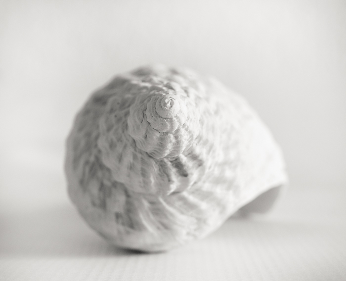 Title: Untitled, Camera: Ebony SW 45, Lens: Schneider 90 mm, Film: Kodak T-Max 100