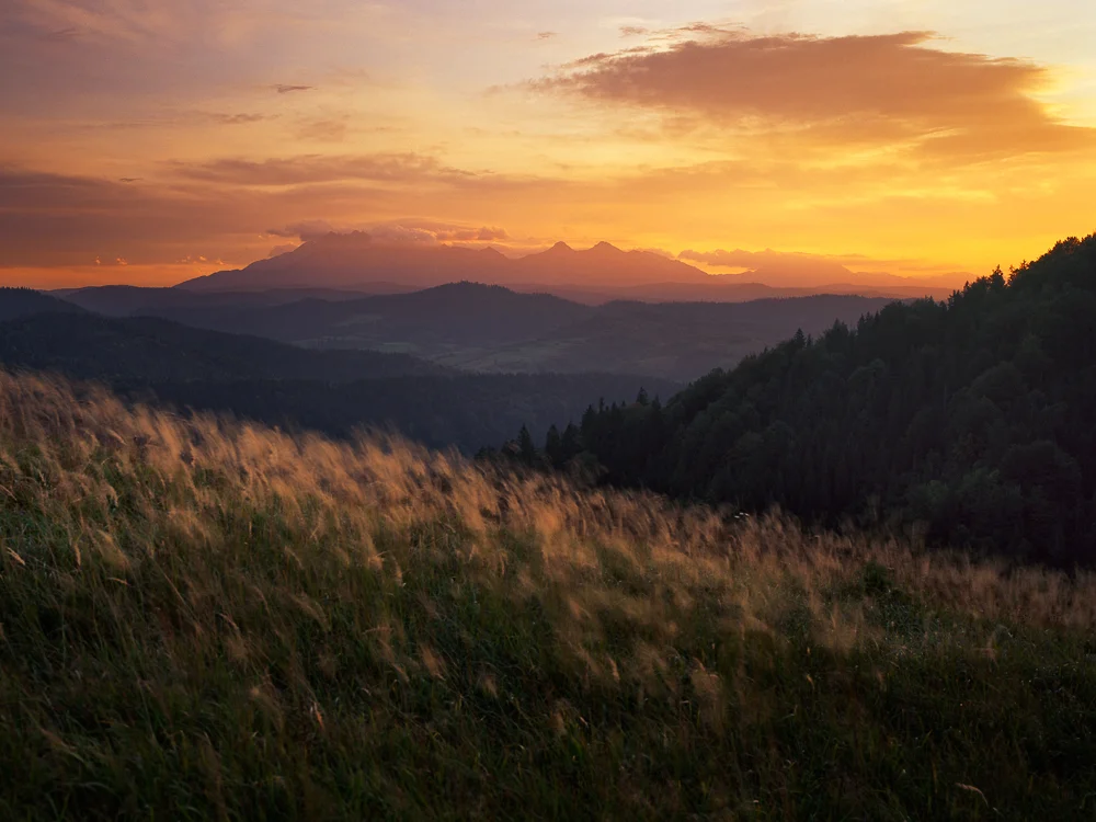 Capture: Golden Times, Camera: Linhof Techno, Lens: Rodenstock 90mm, Film: Fuji Velvia, Aperture: f/8, Exposure: 2s, Filters: Singh-Ray Warming Polarizer