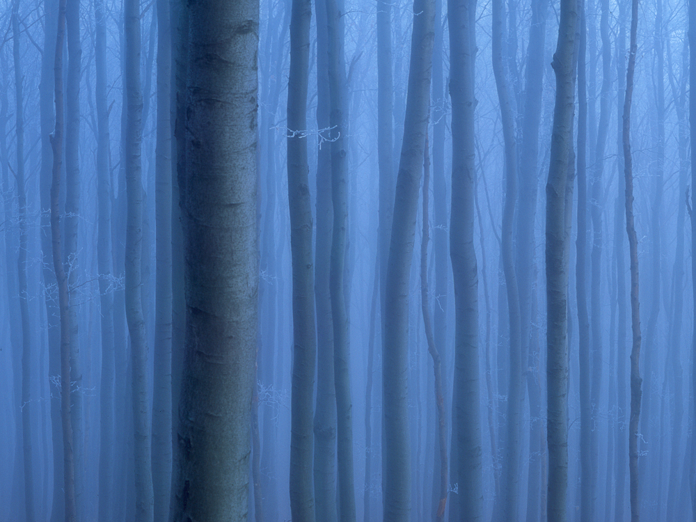Title: Blue Essesnce, Camera: Hasselblad H1, Lens: 210mm, Film: Fuji Velvia, Filters: no, Exposure: Unrecorded
