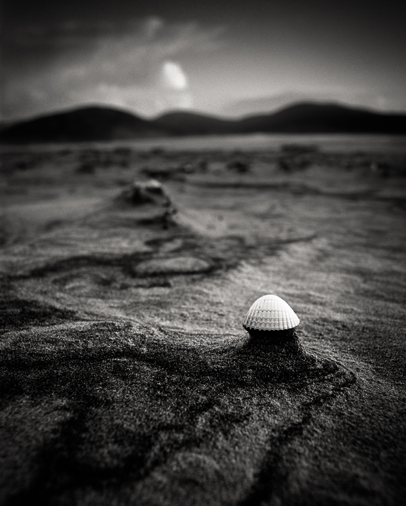 Title: Small World 1, Camera: Mamiya RB 67 Pro SD, Lens: Sekor 50 mm, Film: Kodak T-Max 100, Exposure: 1/15, f 16, Harris, Scotland, 2014
