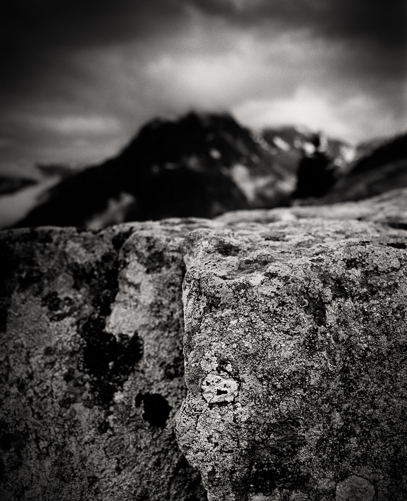 Title: Small World 2, Camera: Mamiya RB 67 Pro SD, Lens: Sekor 50 mm, Film: Kodak T-Max 100, Exposure: 1/30, f 22, Vallorcine, France, 2014