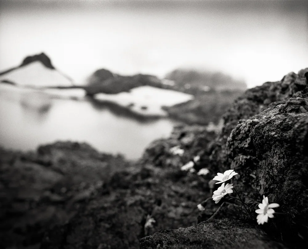 Title: Small World 3, Camera: Mamiya RB 67 Pro SD, Lens: Sekor 50 mm, Film: Ilford HP5+, Exposure: 1/60, f 16, Vallorcine, France, 2014