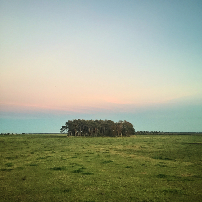 Sometimes, the northeastern Germany feels like Africa.