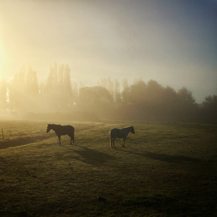 Monday morning or likewise...