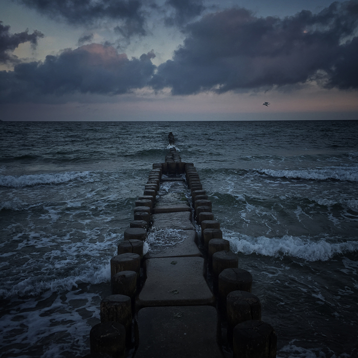 The wave breaker and the bird.
