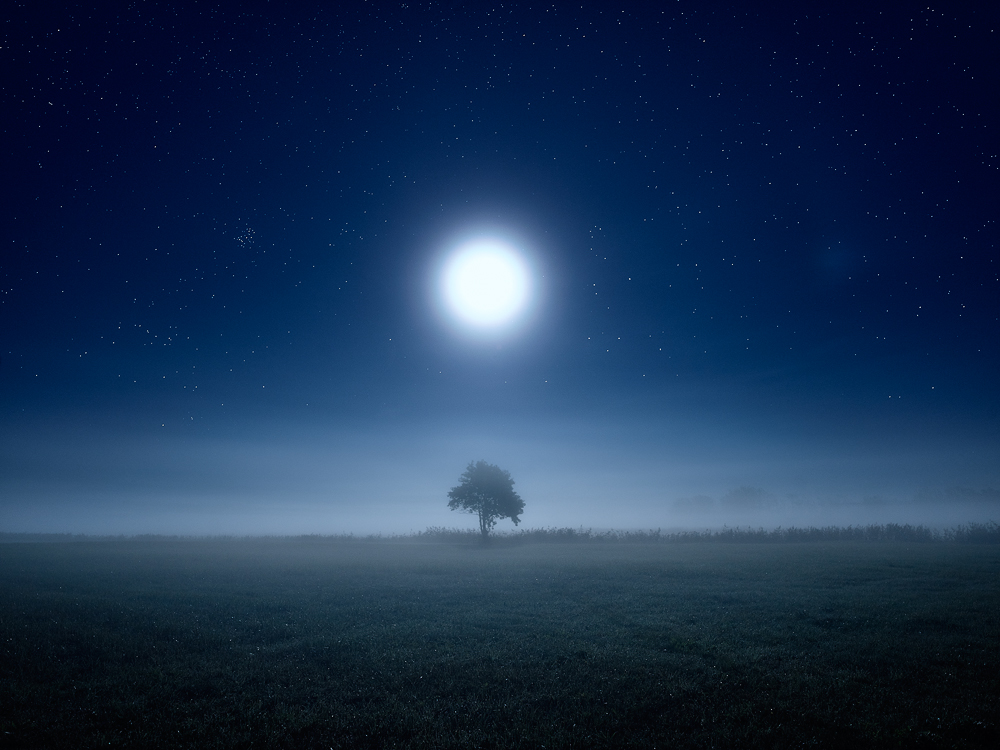 Caption: The Tree That Sleeps Well, Camera: Hasselblad H1, Lens: 35mm, Digital Back: Phase One IQ150, Exposure: 13s, Aperture: f/4, ISO: 400