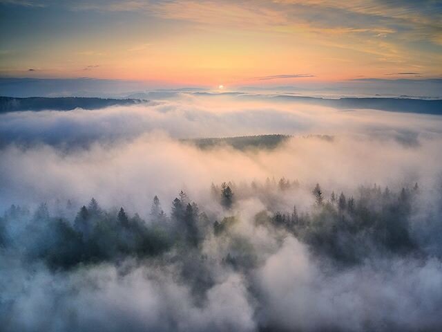 My drone was lucky to have witnessed this amazing sunrise with its own eyes last week, while I stayed in the total blindness on the ground... It often happens that things look very different from another angle.
.
.
.
.
.
#krkonose #ceskakrajina #visi
