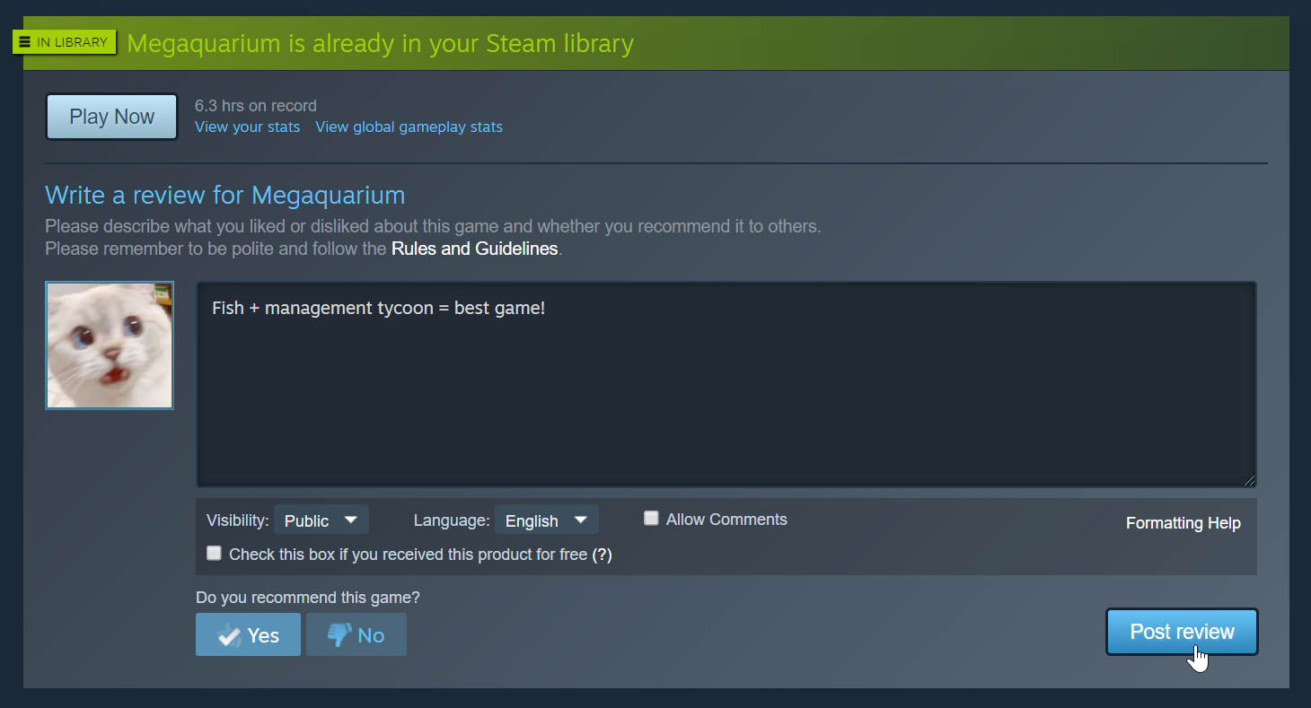 Steam review language фото 6