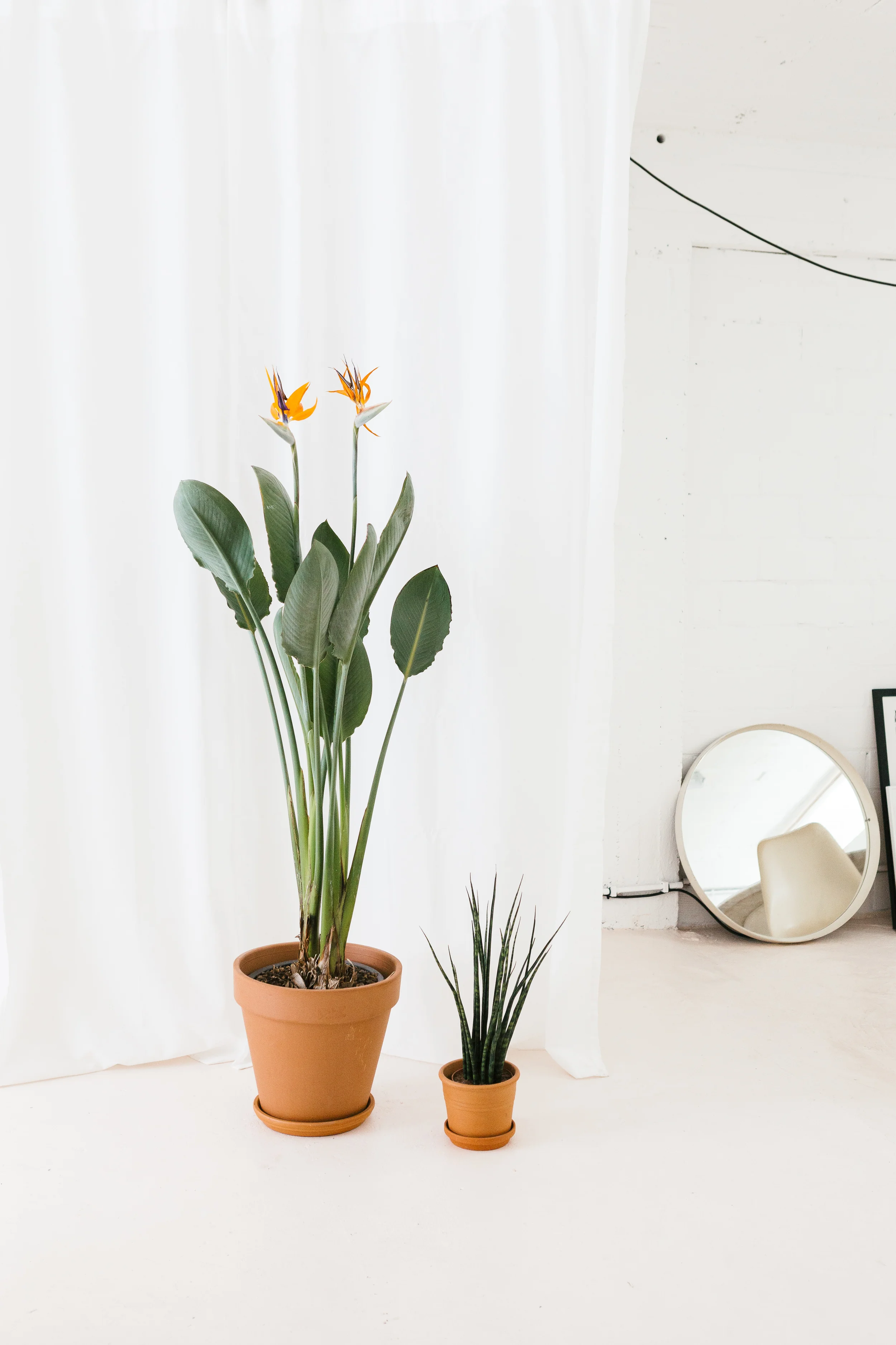 HEJM-Stephanie-Specht-Interior-Photography-Antwerp-Studio-2422.jpg