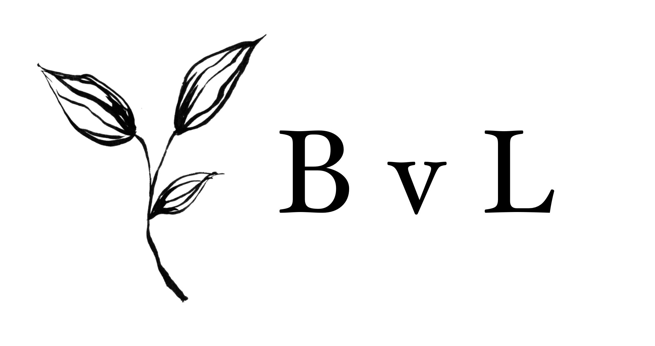 Logo BvL.jpeg