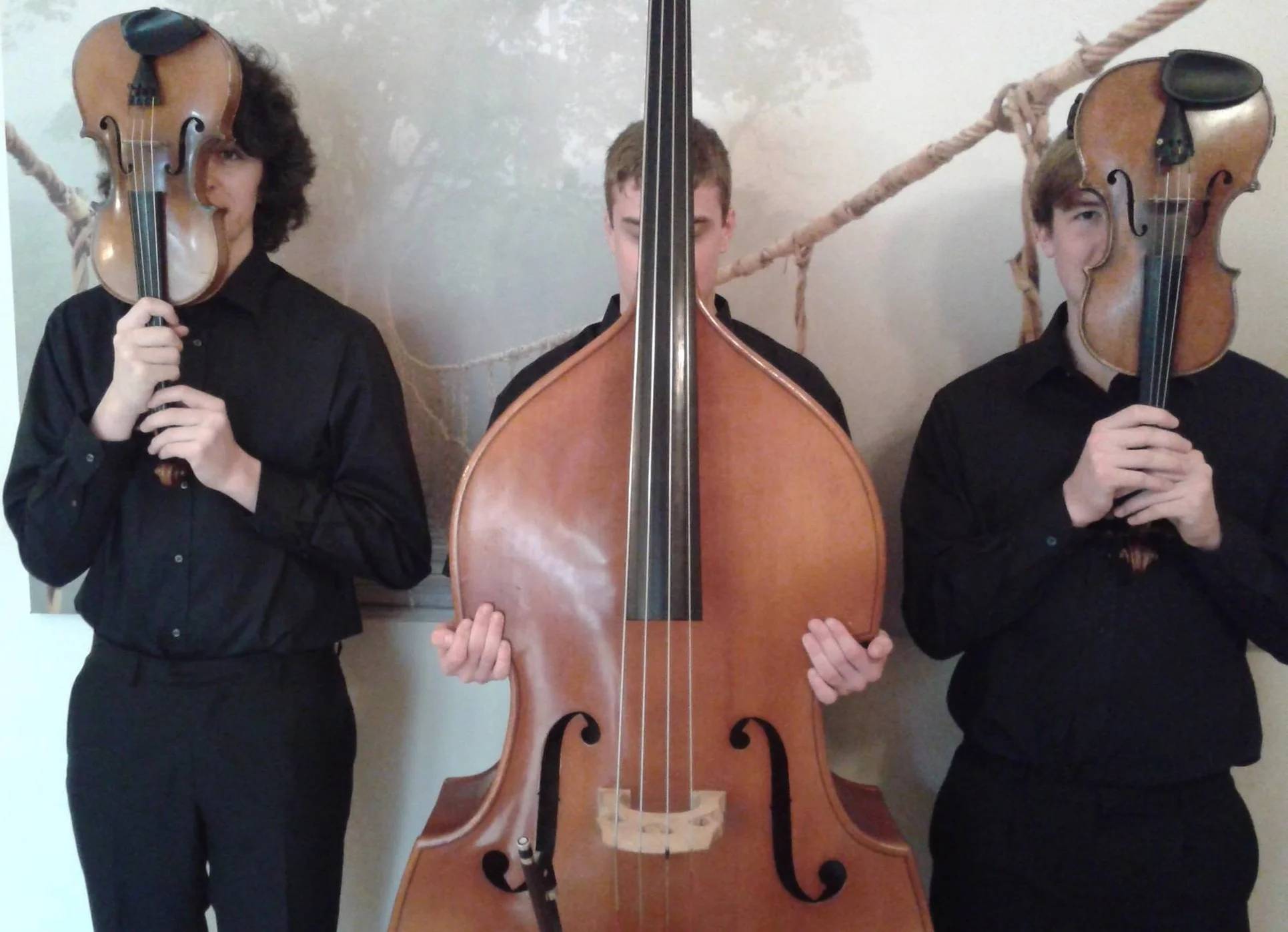 The Hampshire String Trio.