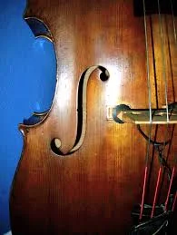 Welcoming Katie Long as Assistant Conductor of BAYSO