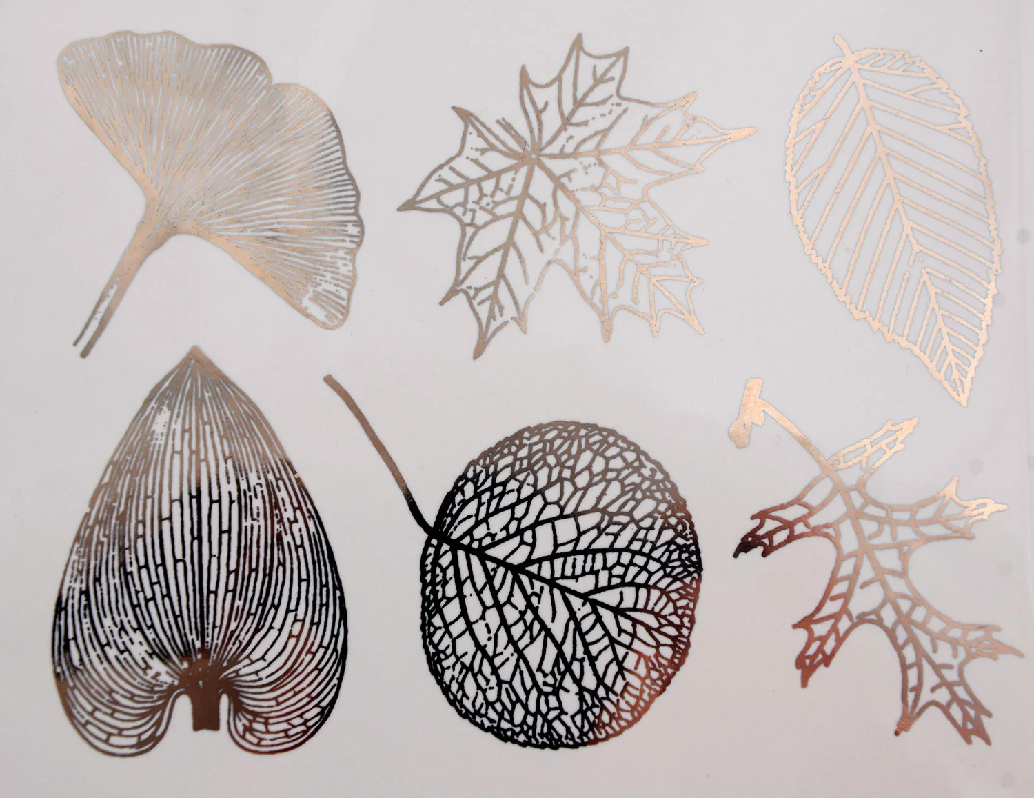 Copy of Copy of Copy of il_fullxfull.596494604_81ll.jpg