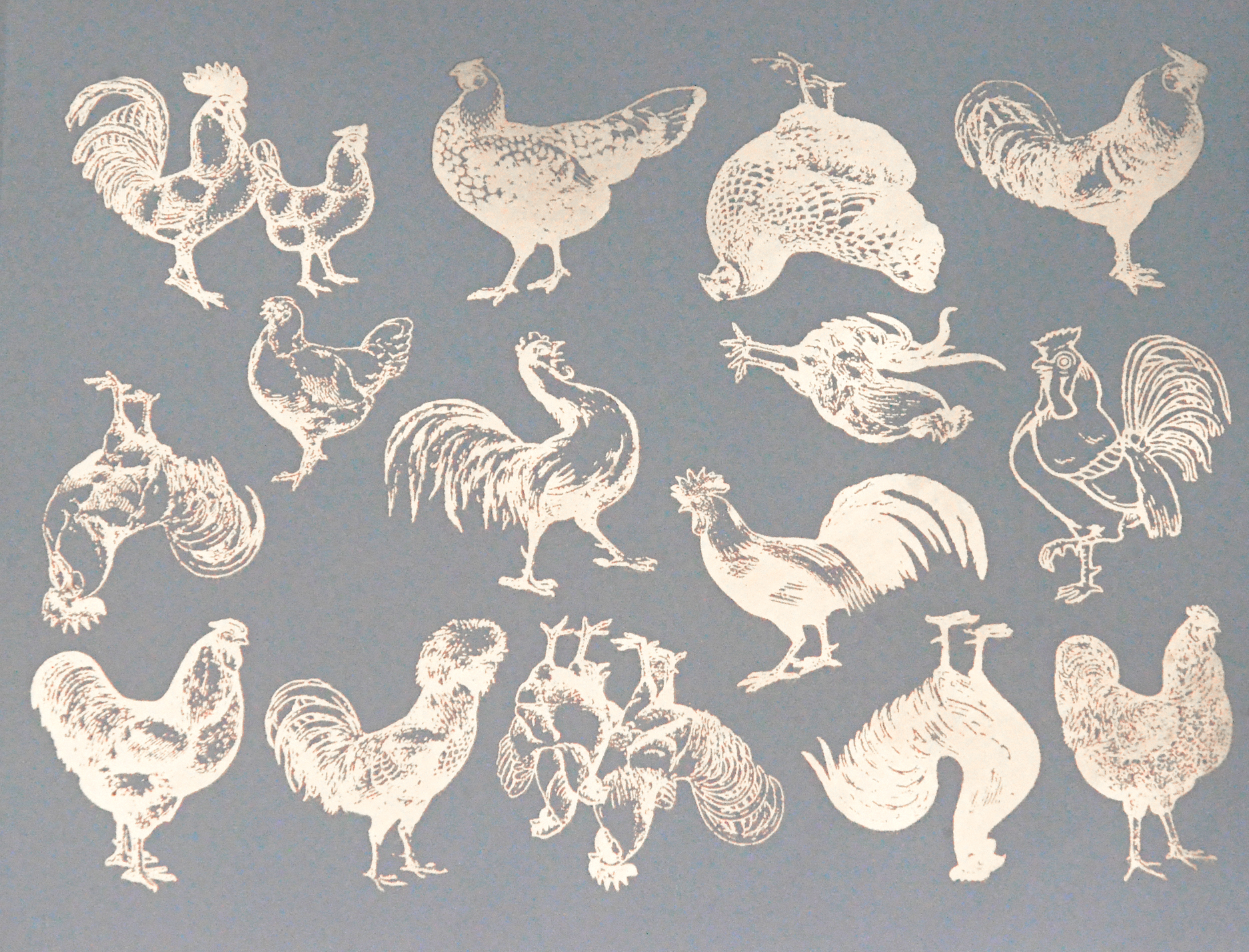 12 Rooster Hen Select Size Waterslide Ceramic Decals Bx 