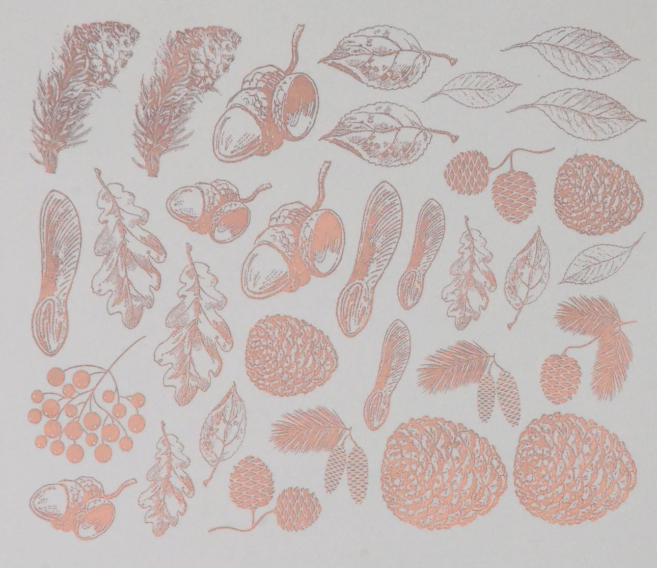 Autumn Nature Decals for Ceramic, Glass and Enamel — Ceramic Decals