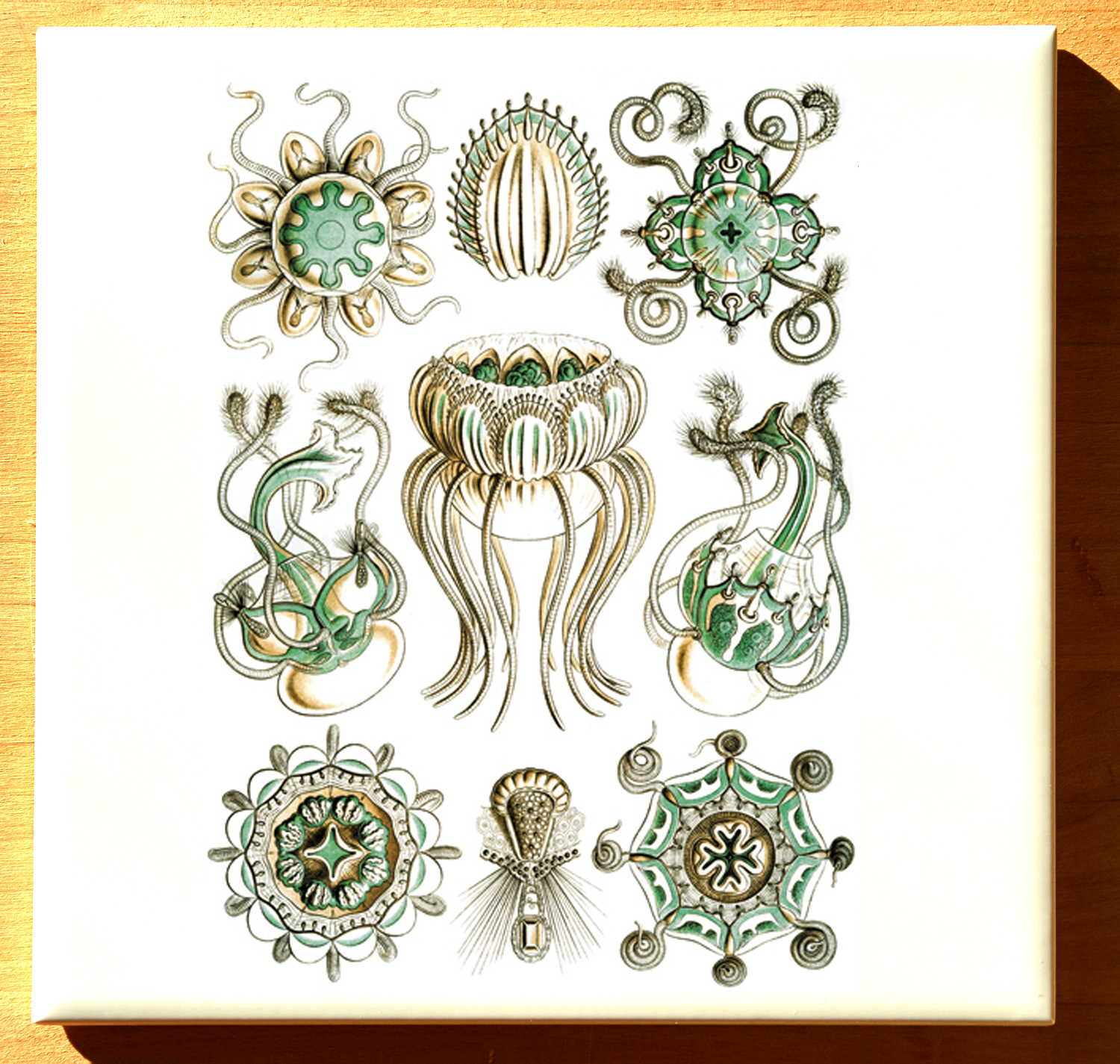 Stock Decals — Custom Ceramic Decals Glass Fusing Decals Ceramic Luster Decals