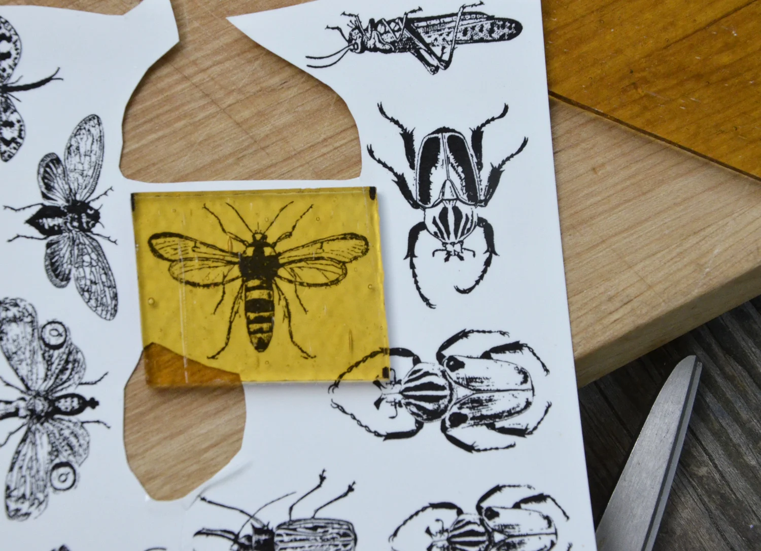 Follow our three part series: Suspended in Amber to learn some interesting new glass fusing decal techniques.