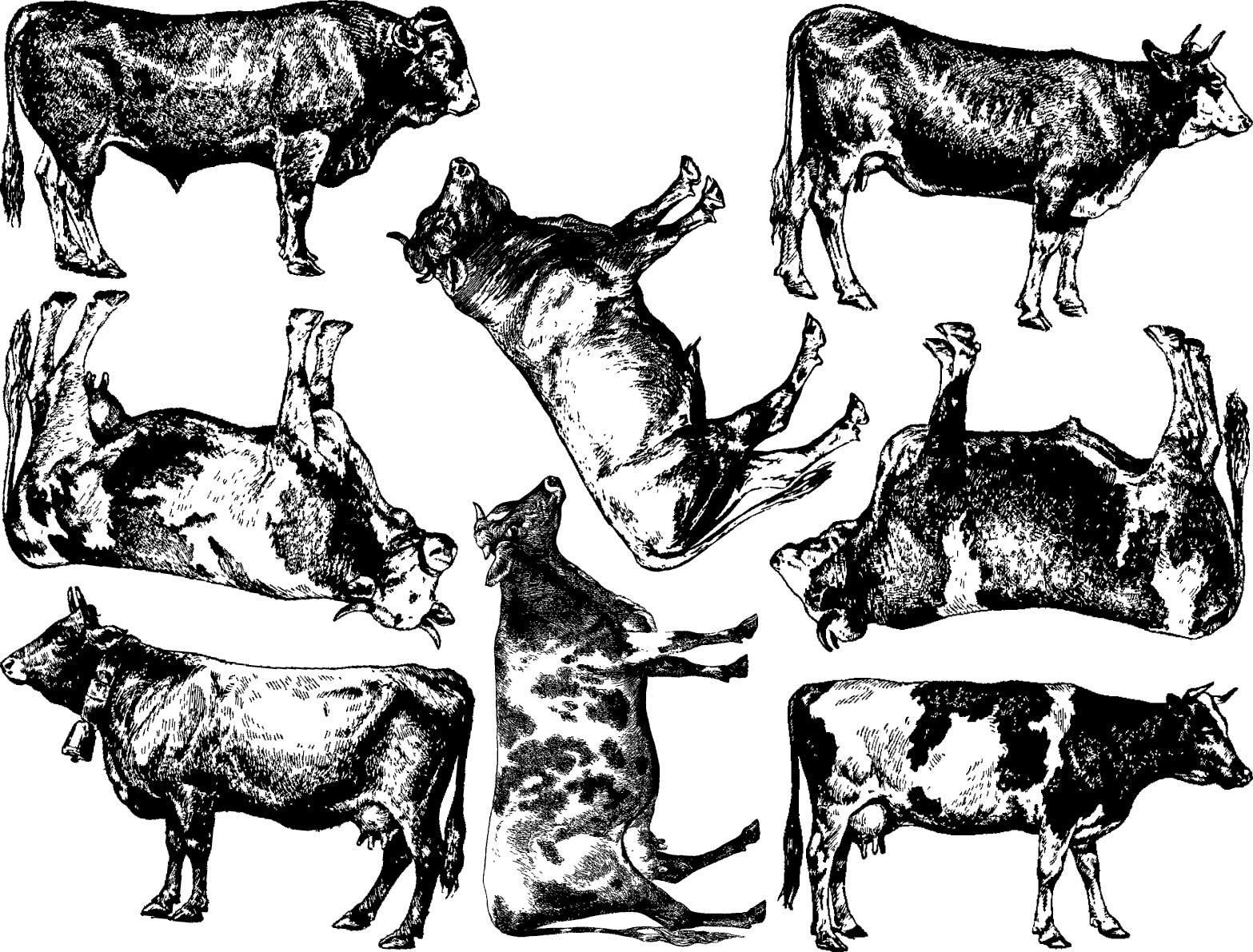 Ceramic Decal or Glass Fusing Decals to Choose from Bandana Cow Enamel 3 Different Size Sheet Enamel Decal 15311 Glass Decal Images Waterslide Decal Choose Either Ceramic 
