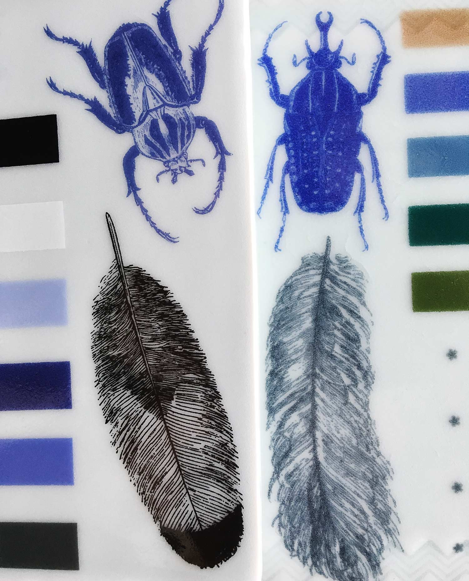 Small Feathers Decals — Ceramic Decals, Glass Fusing Decals