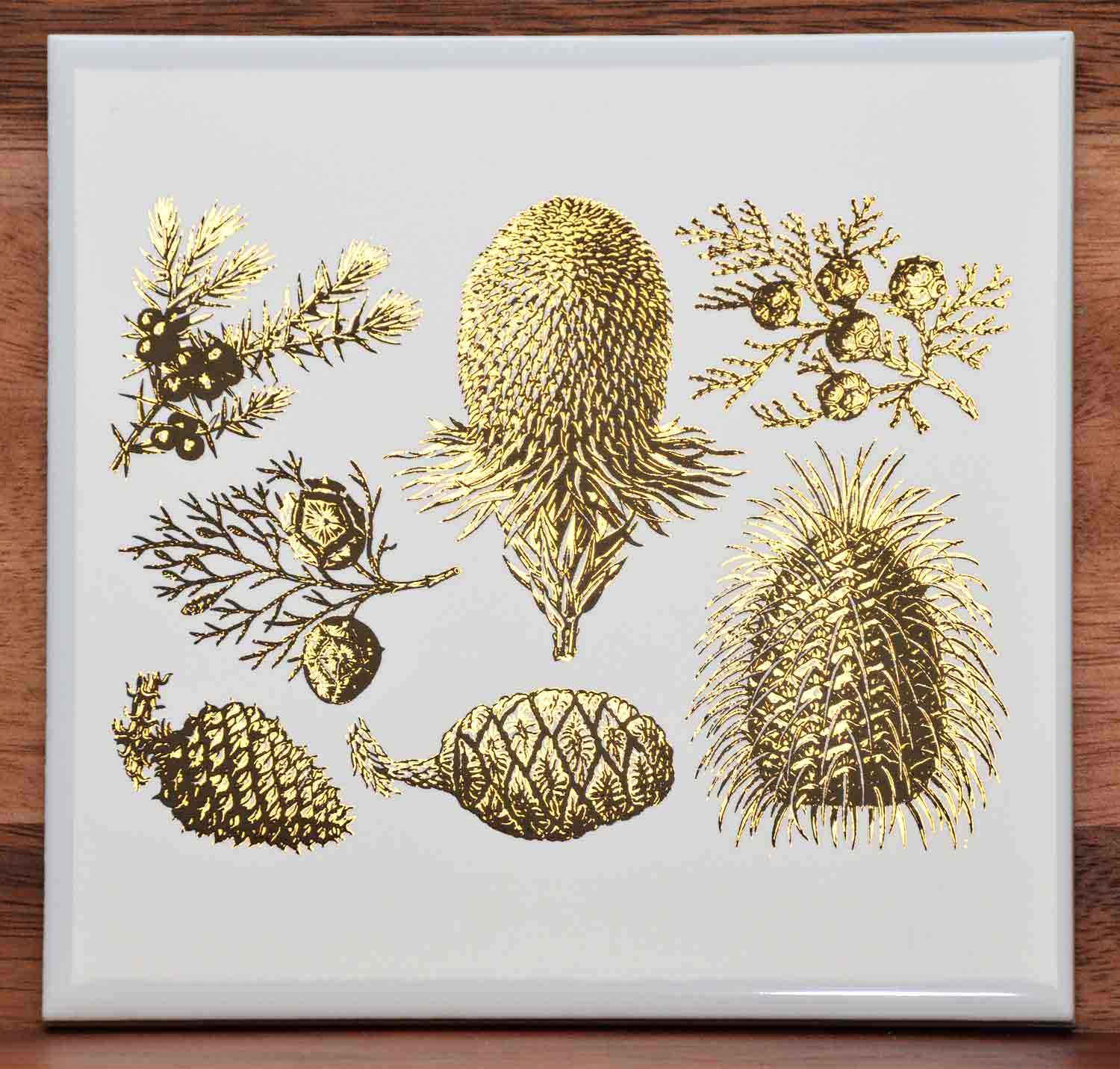 4 Pine Cone Pinecone Select-A-Size Waterslide Ceramic Decals Tx 