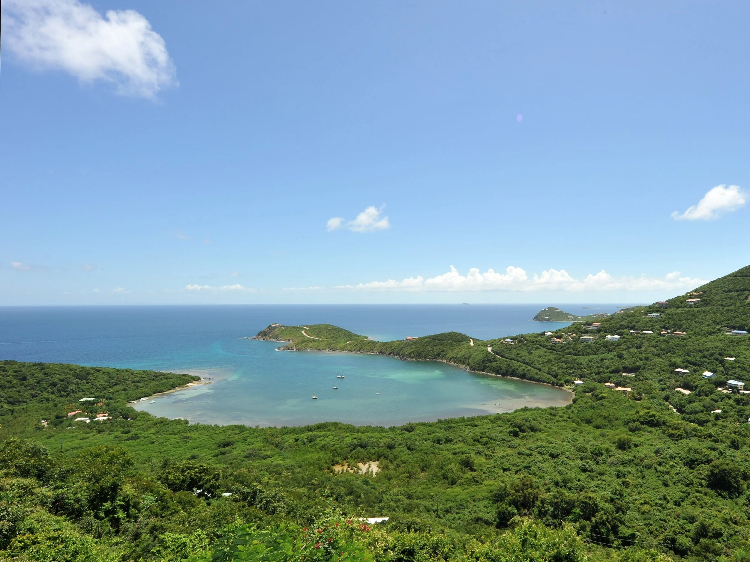 Fish Bay View