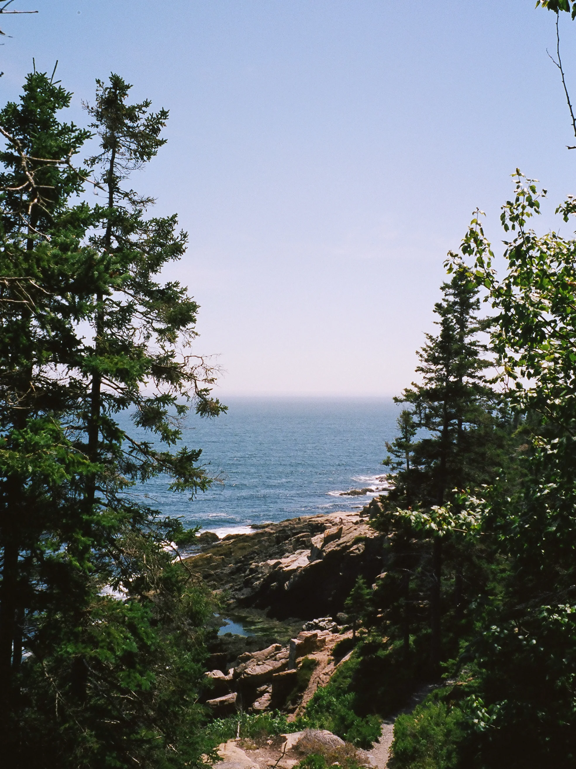 LeicaM6_Portra400-359.jpg