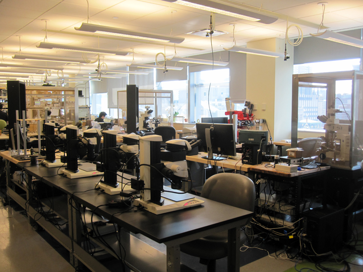 The Schnagel lab, September 2014