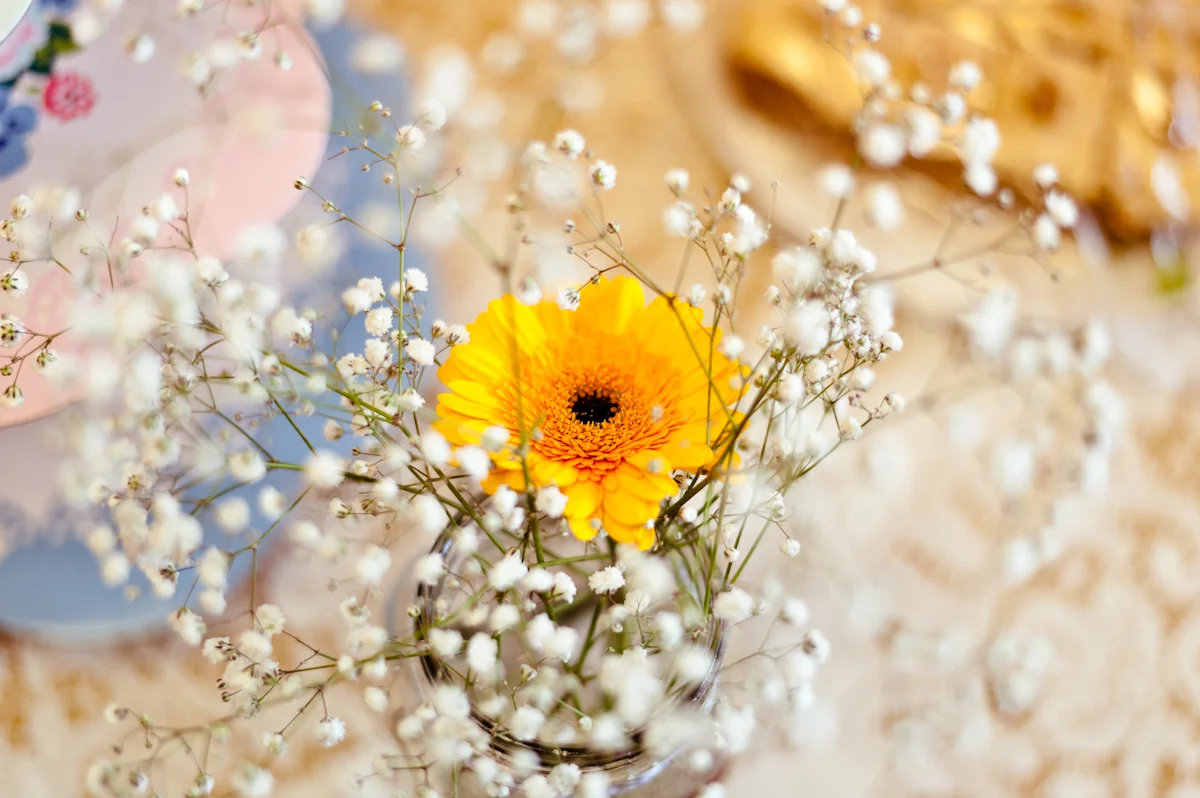 Wedding photo (22 of 138).jpg