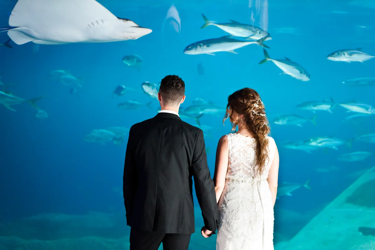 Wedding photo (98 of 121).jpg