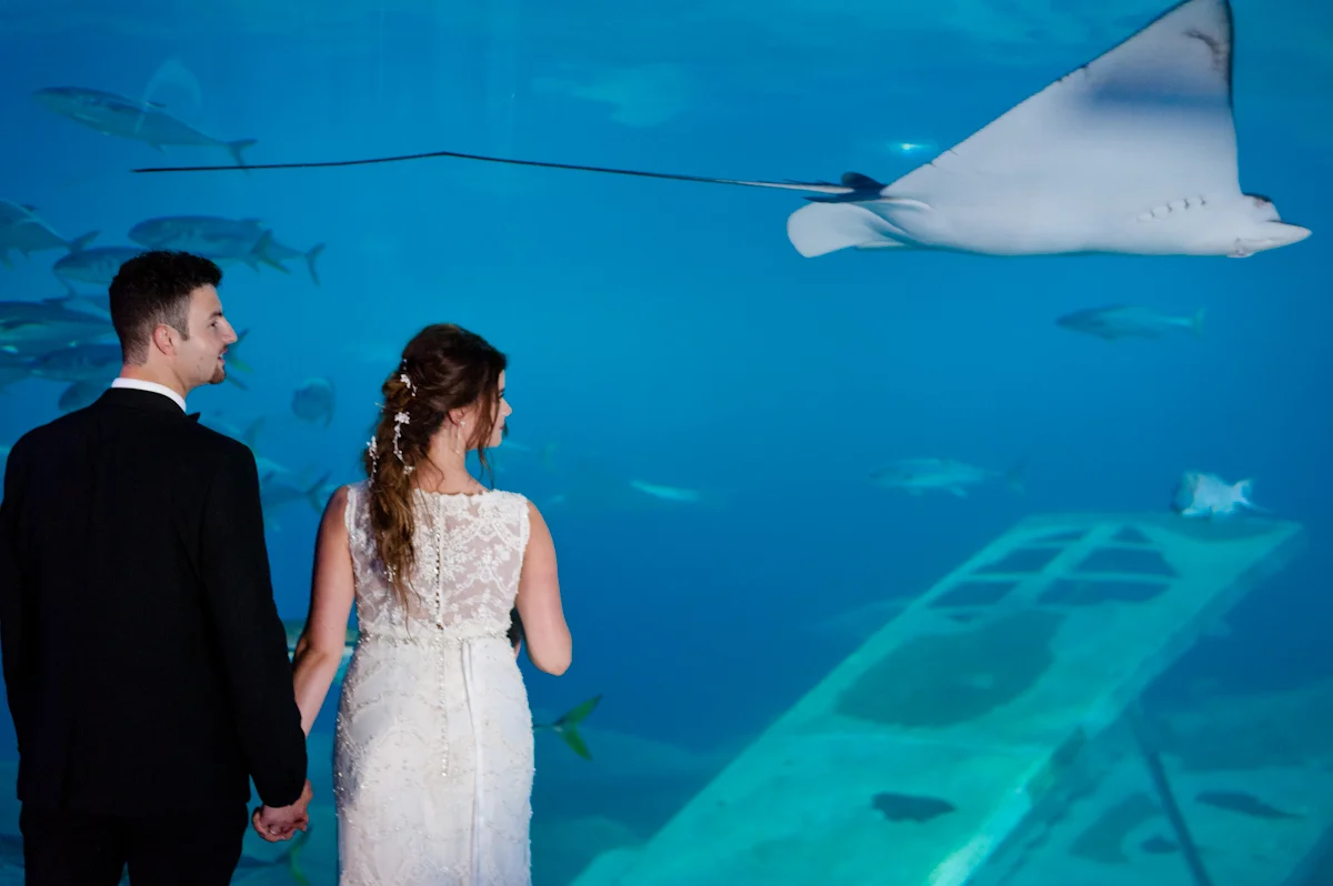 Wedding photo (99 of 121).jpg