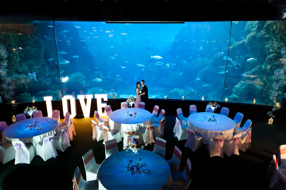 Wedding photo (103 of 121).jpg