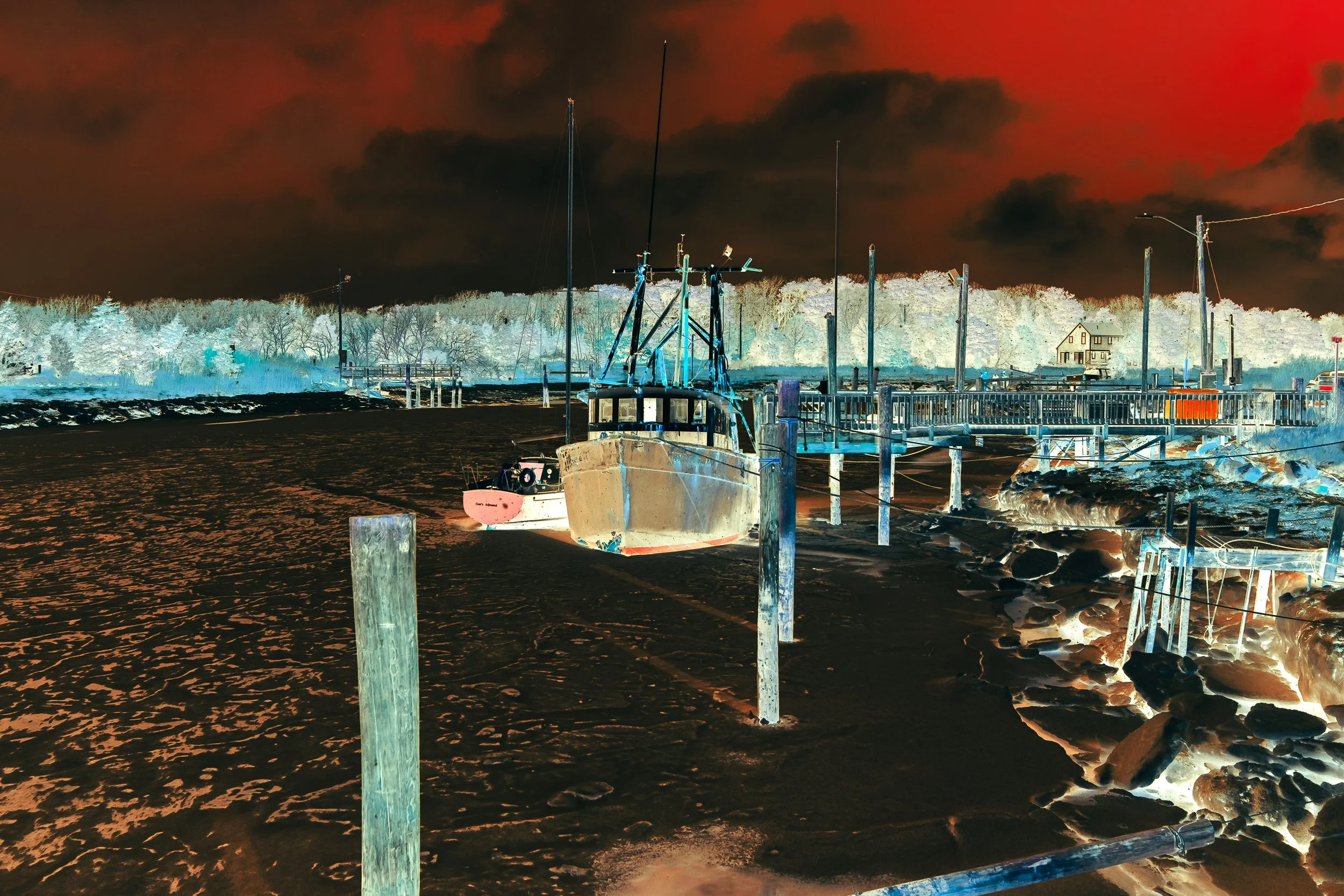 DSCF2619.jpg