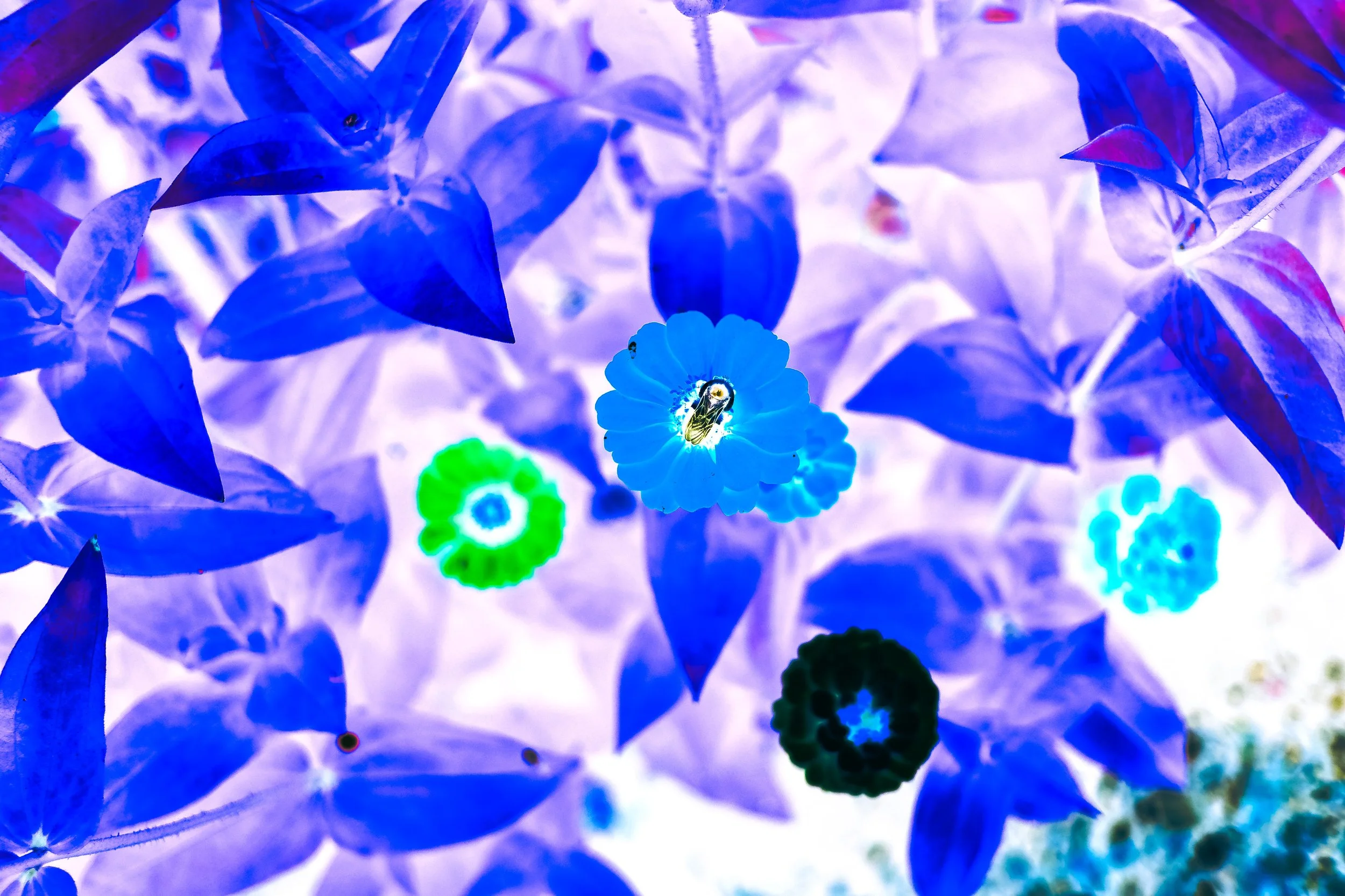 DSCF5657.jpg
