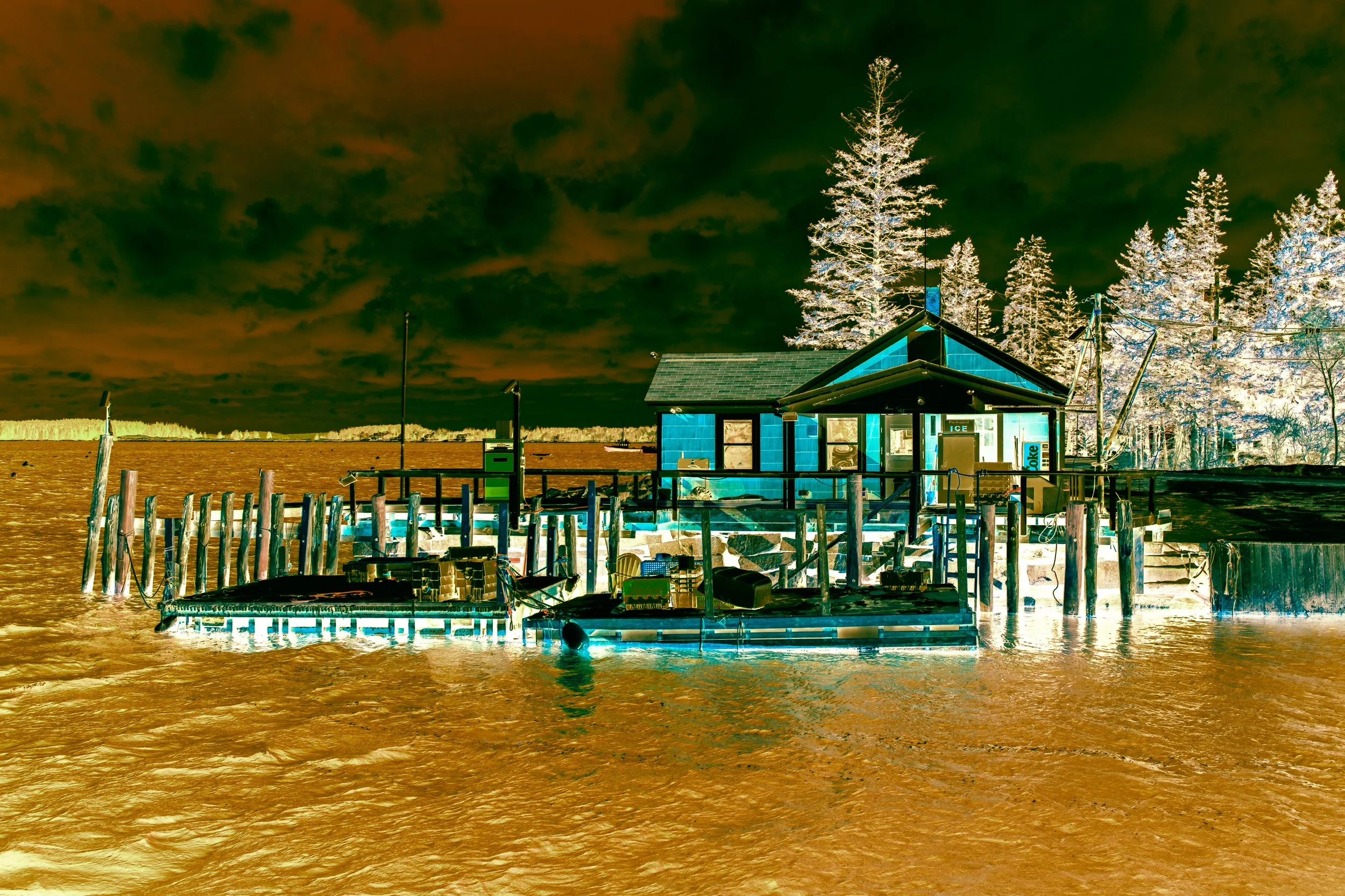DSCF0832.jpg