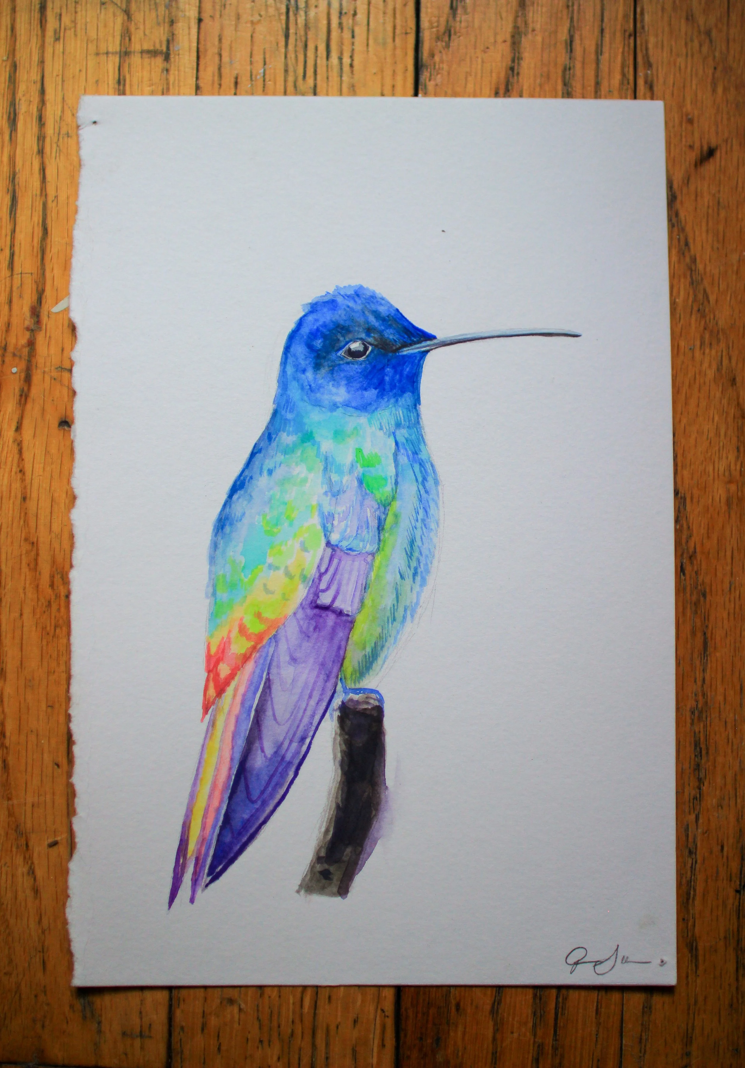 Hummingbird Still, 2025