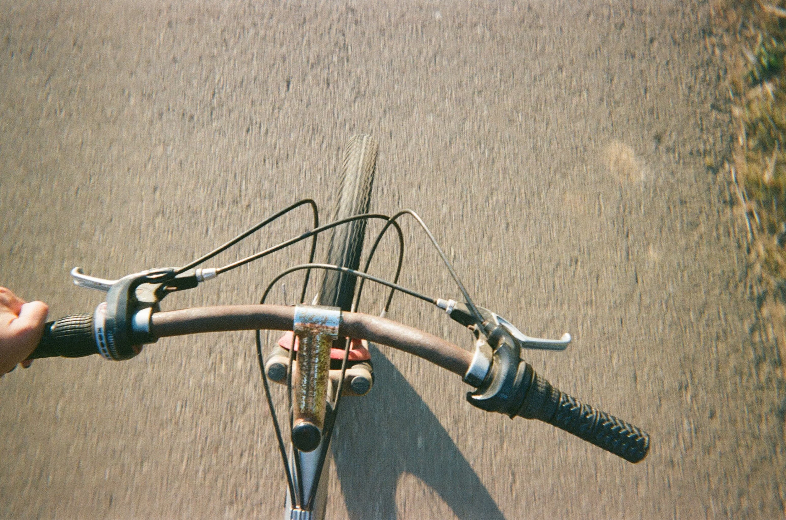 Film Photo - 2025 - La Tempera 2.jpg