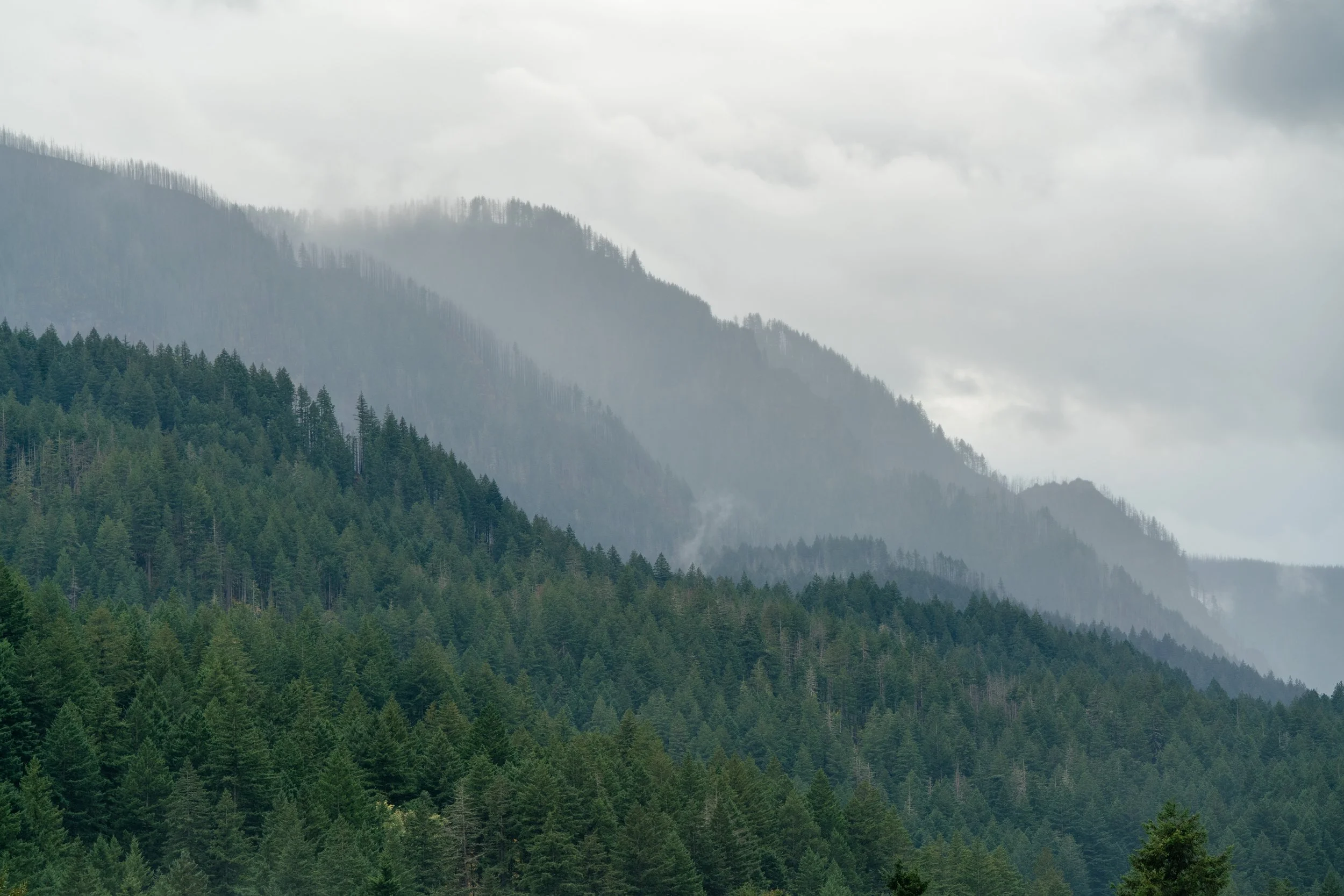Hwy84Oct12-9.jpg