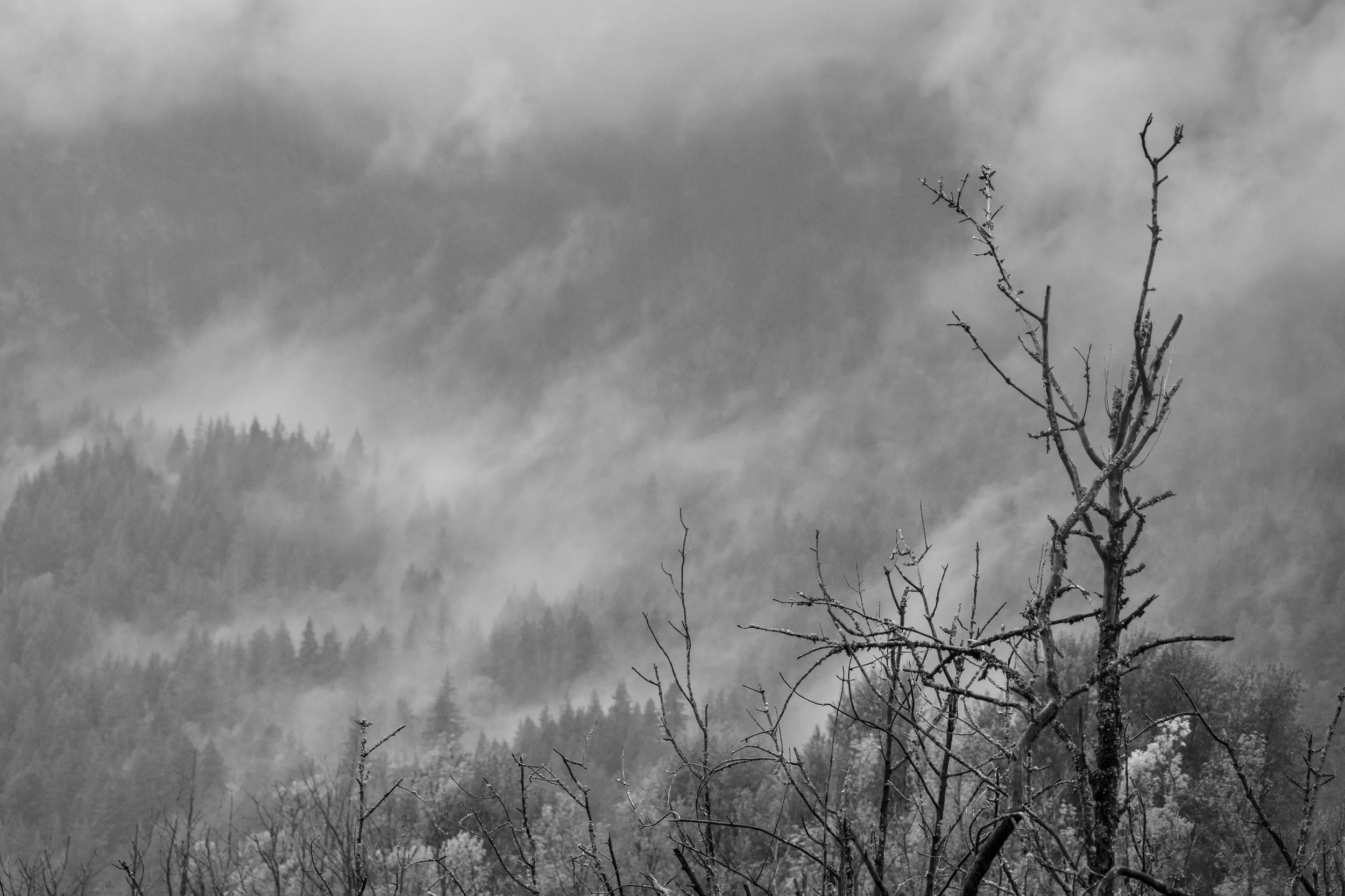 Hwy84Oct12-23.jpg