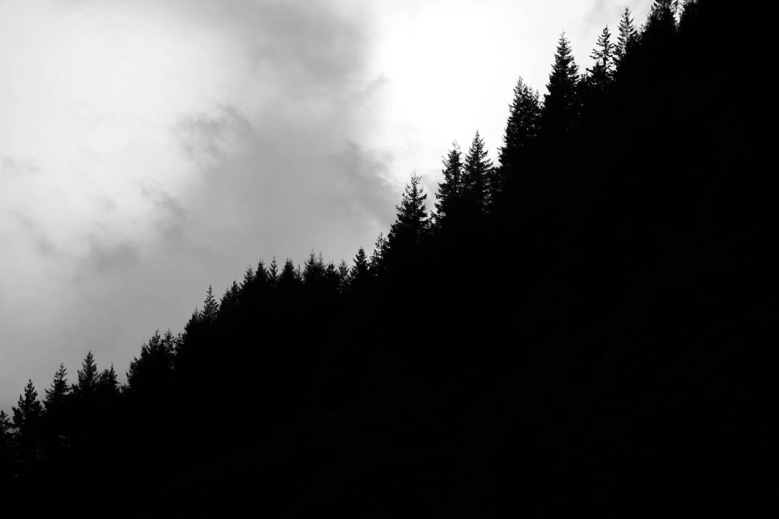 DSC00277.jpg