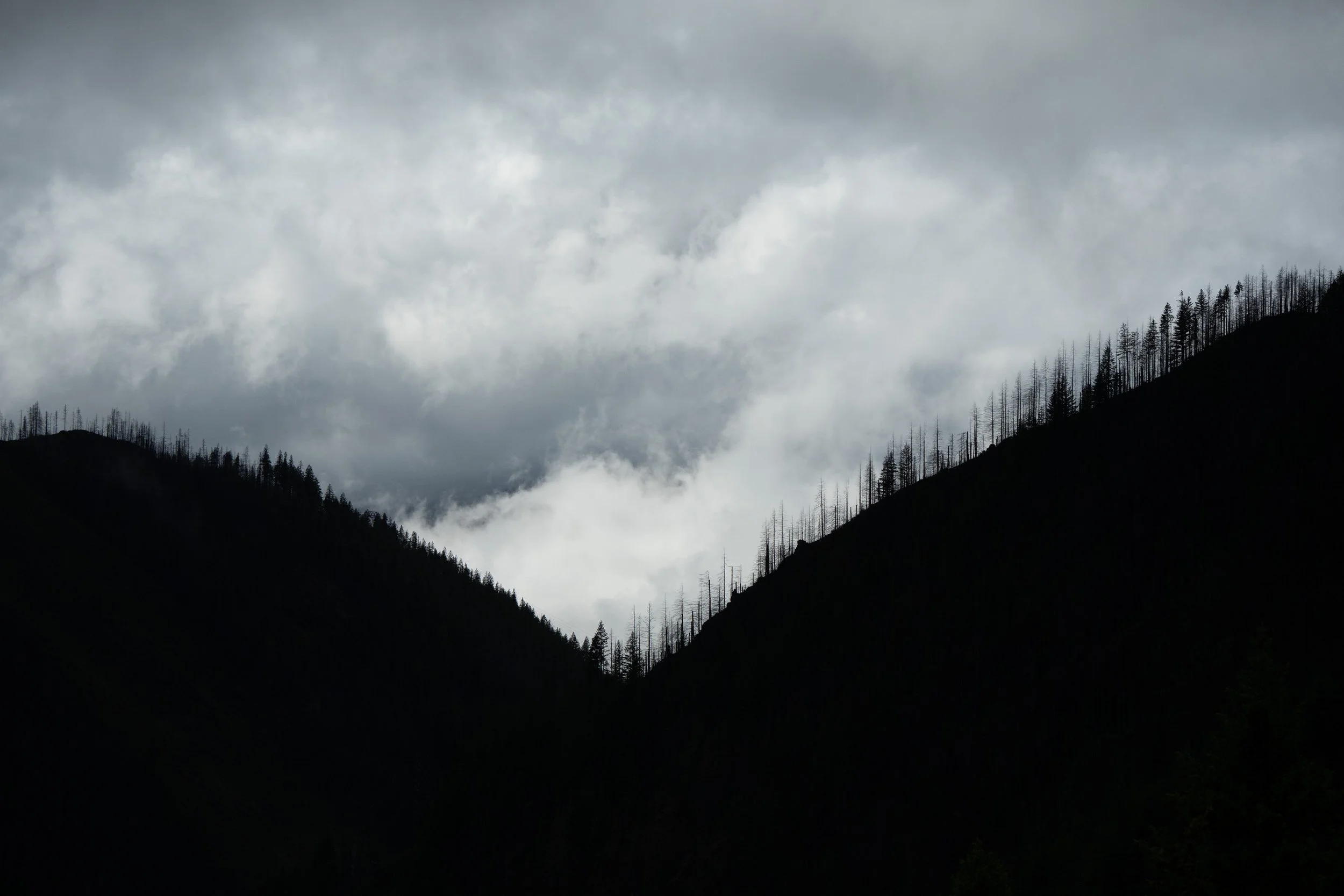 DSC02702.jpg
