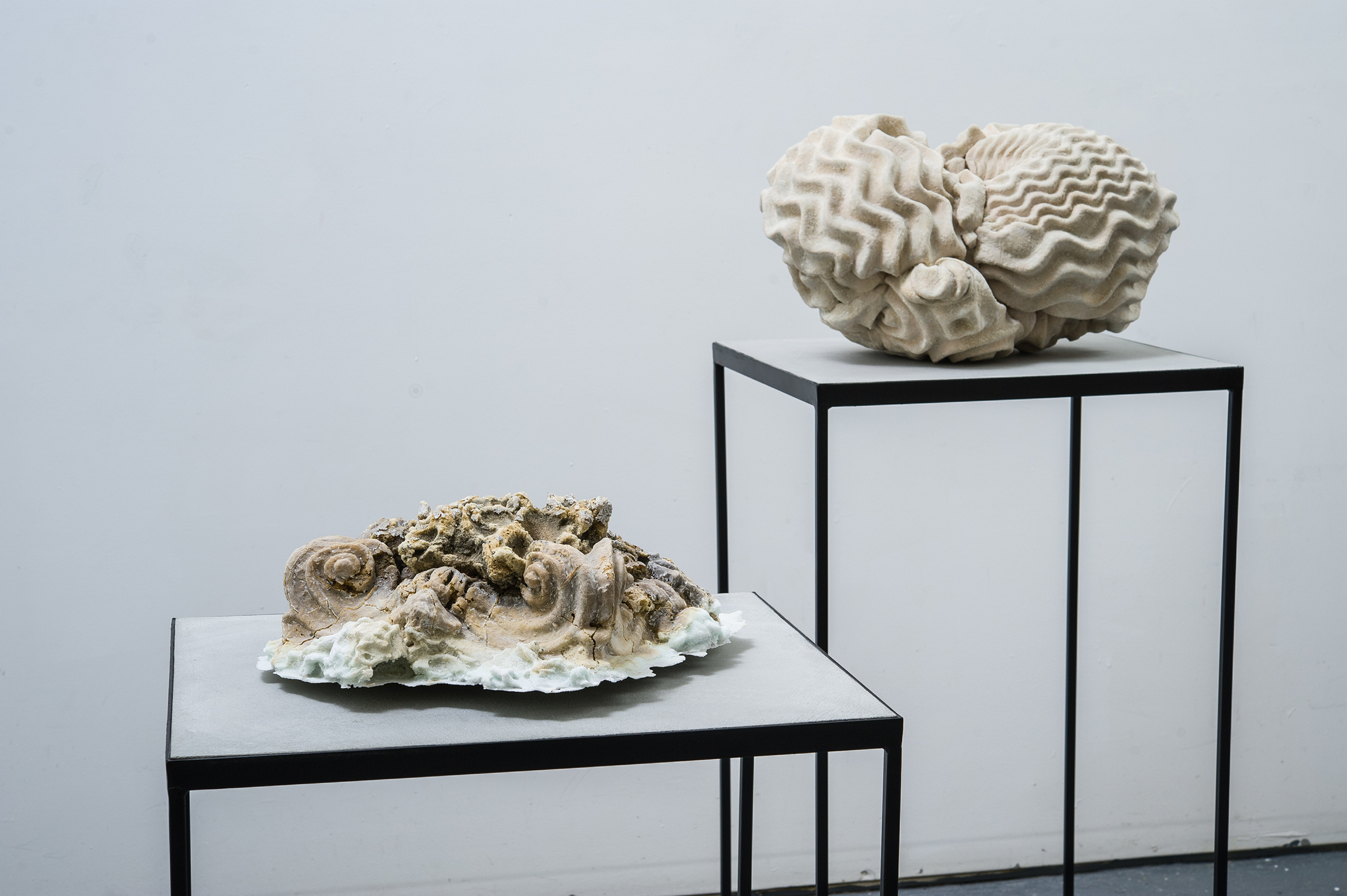 Problematica Honey Rock and Foam Rock