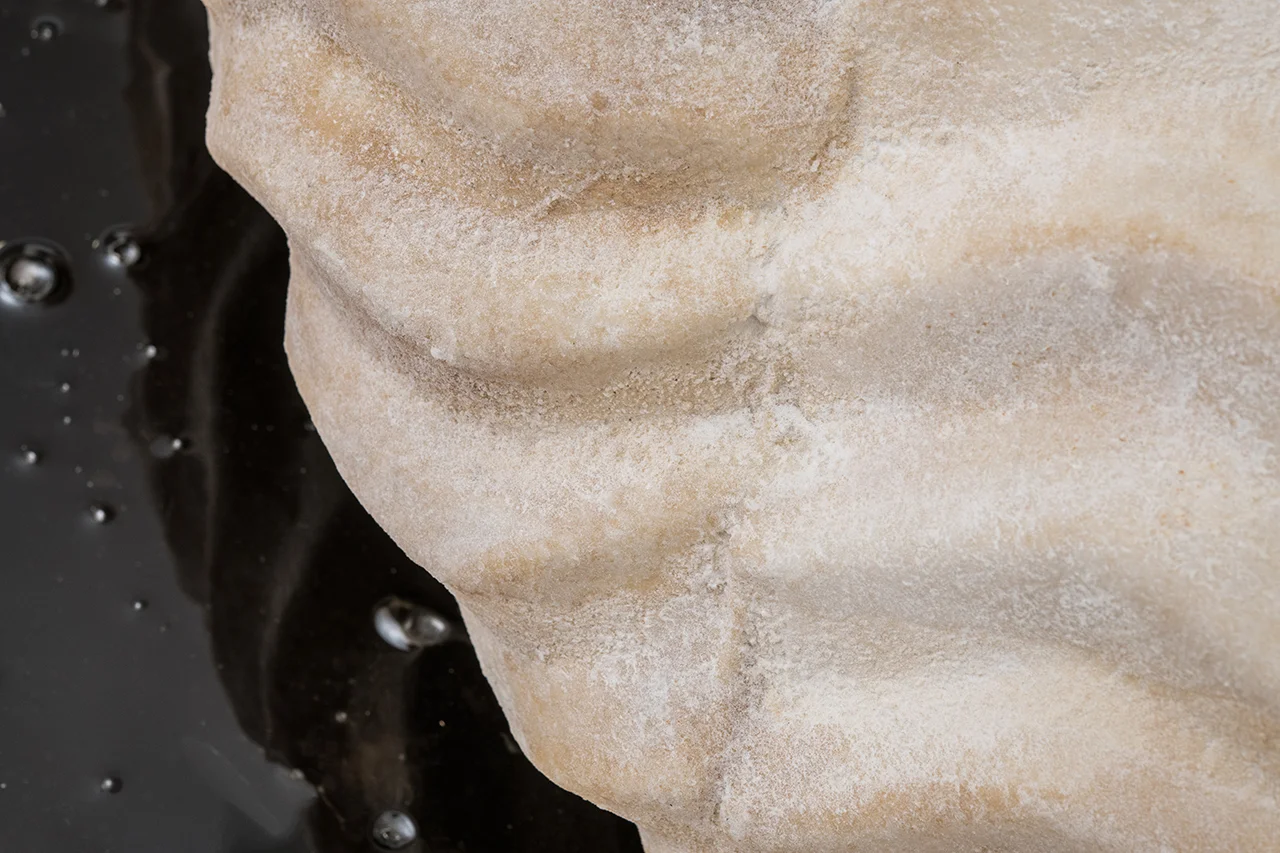 Foam Rock Seep (detail)