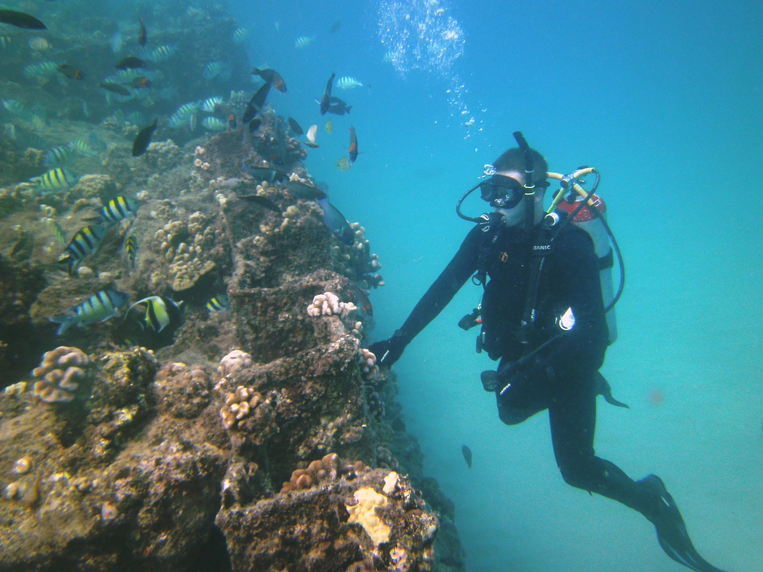 Hawaiian Memories: Day 4