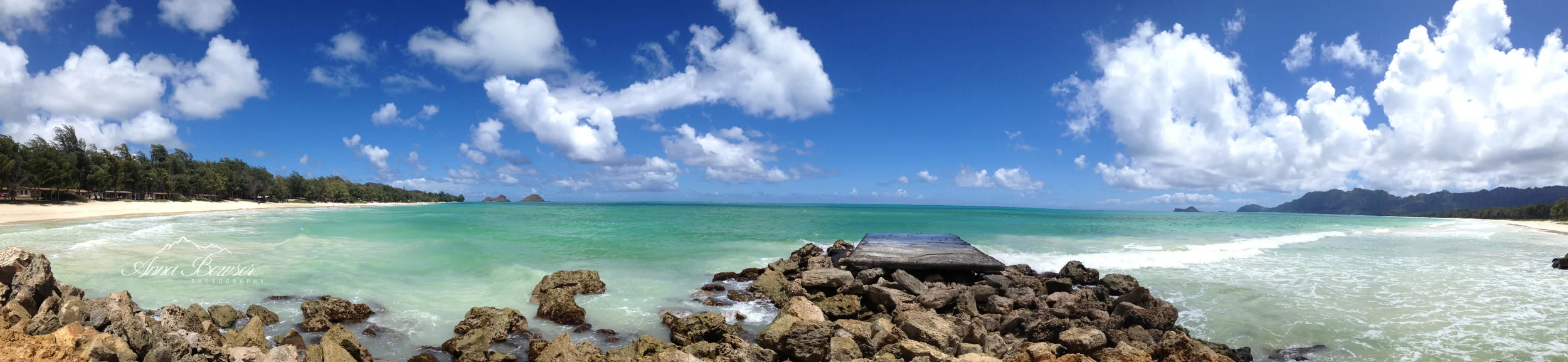 Anna_Bowser_Photography