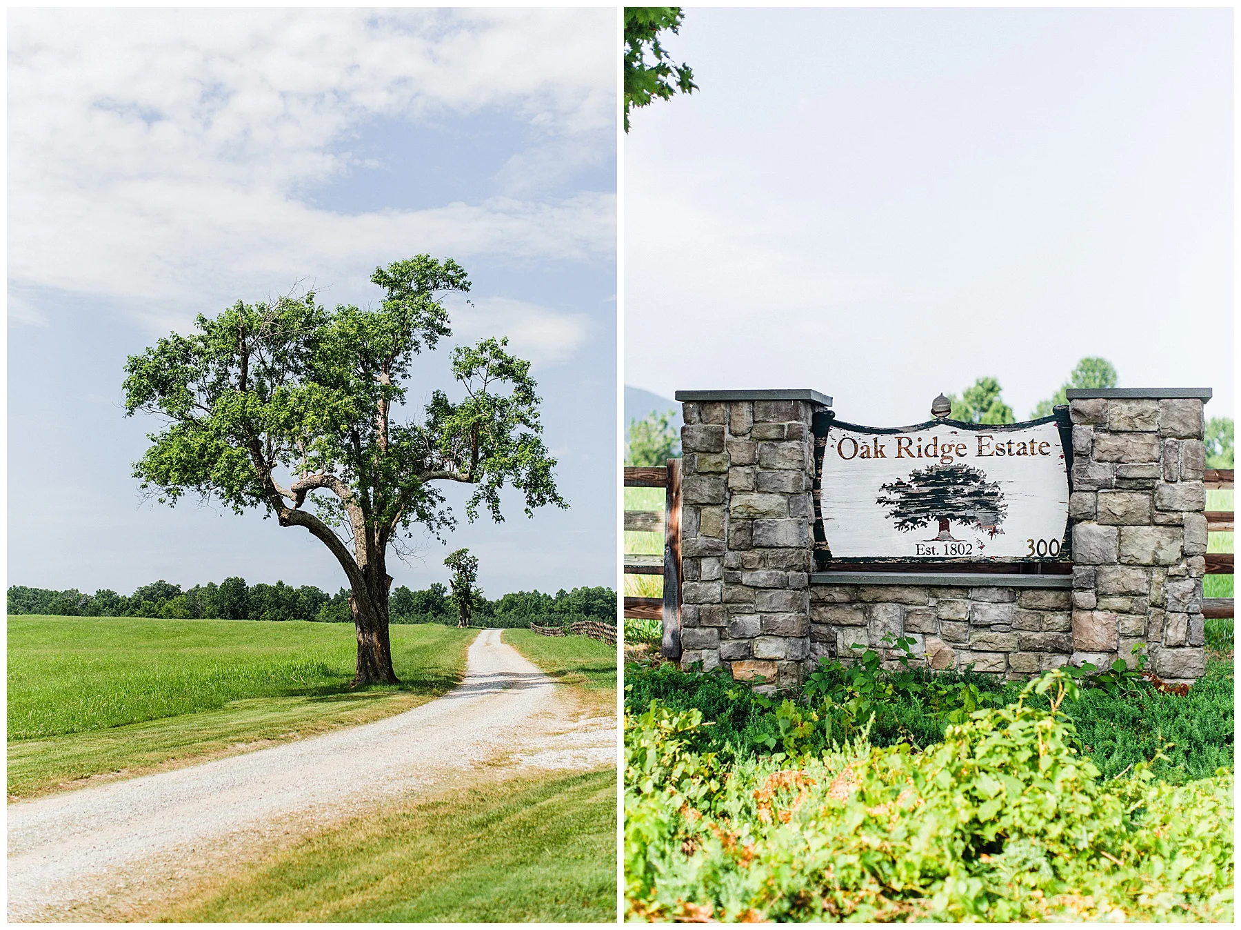 oak-ridge-estate-wedding-virginia-photographer4.jpg