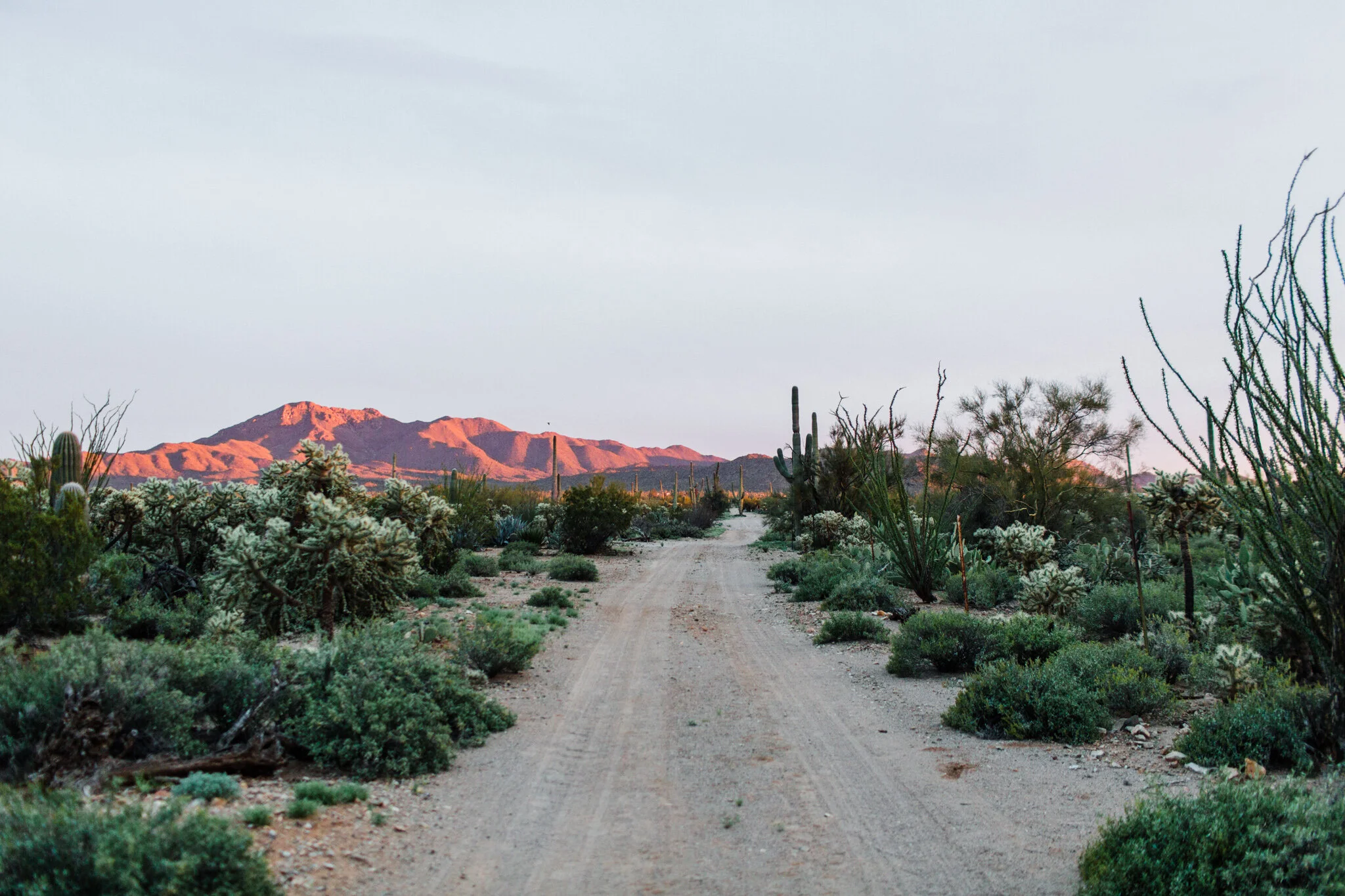 Picture-Rocks-AZ-Engagement-Sedona-Wedding-Photographer-Saguaro-National-Park-Engagement-56.jpg