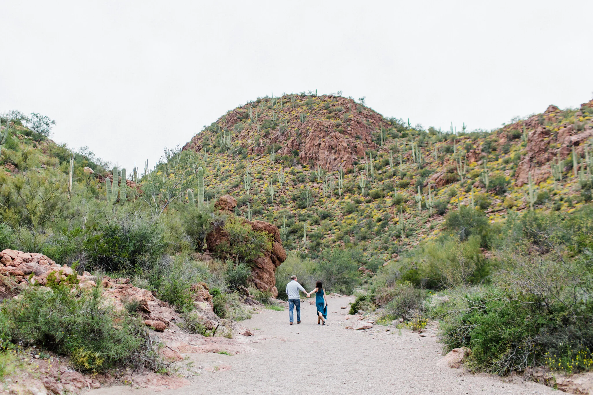 Picture-Rocks-AZ-Engagement-Sedona-Wedding-Photographer-Saguaro-National-Park-Engagement-39.jpg