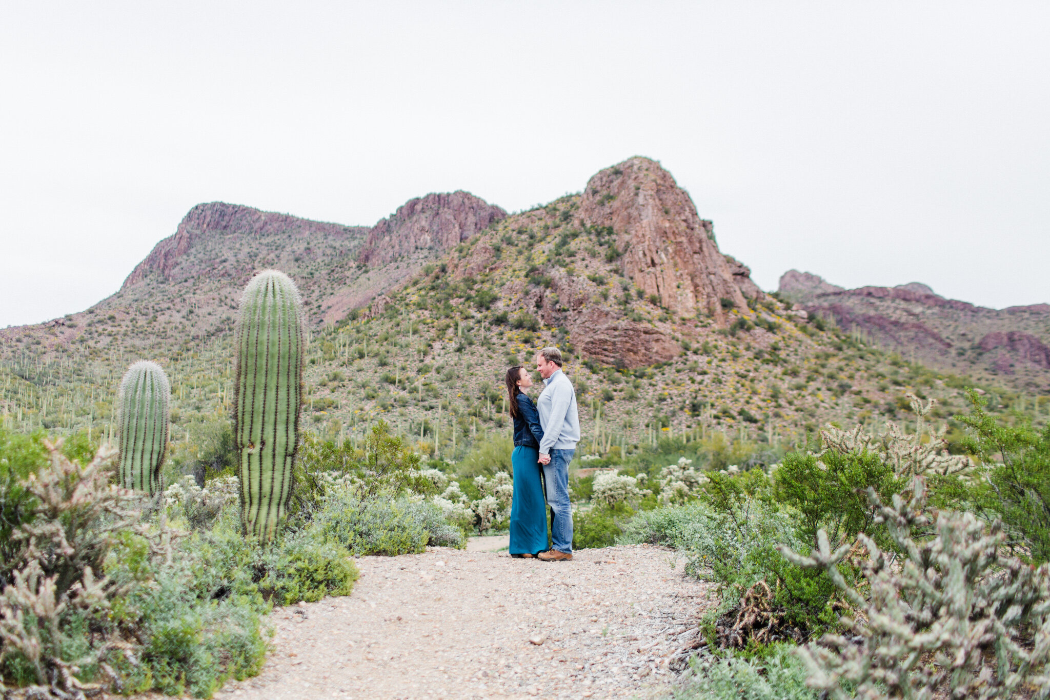Picture-Rocks-AZ-Engagement-Sedona-Wedding-Photographer-Saguaro-National-Park-Engagement-3.jpg