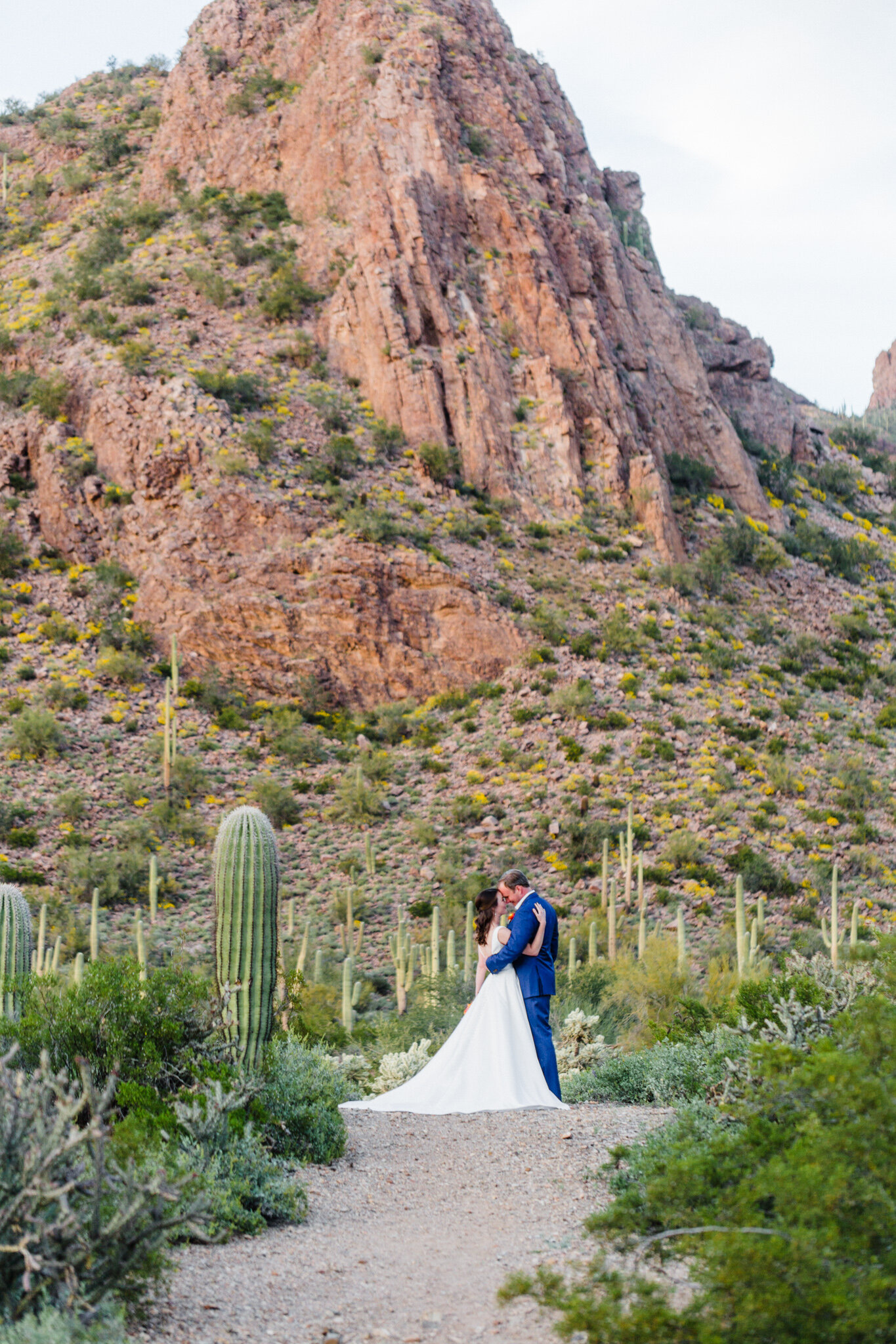 saguaro-national-park-desert-wedding-tucson-arizona-elopement-photographer-2.jpg