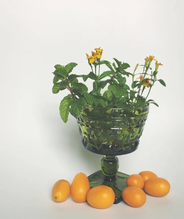Kumquats from the store, and herbs from the garden (Sweet Mint & Mexican Tarragon).